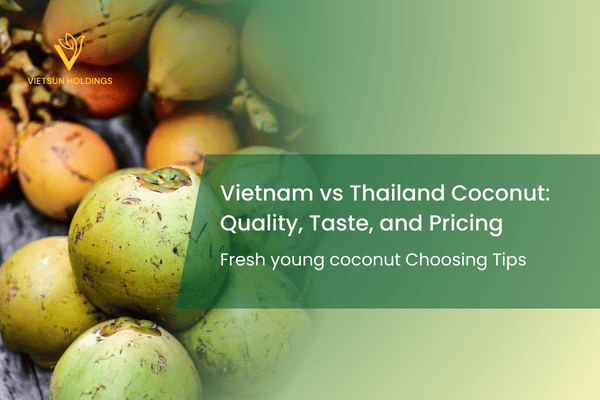 vietnam and thailand coconut comparision